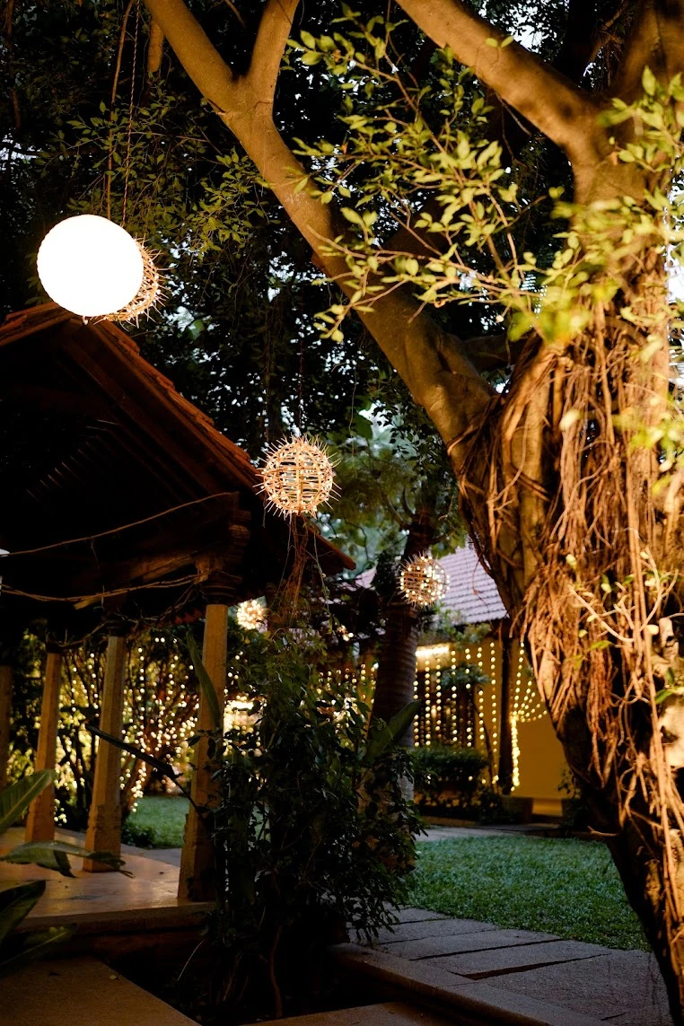 Glowing pendant lights suspended among trees along an evening walkway